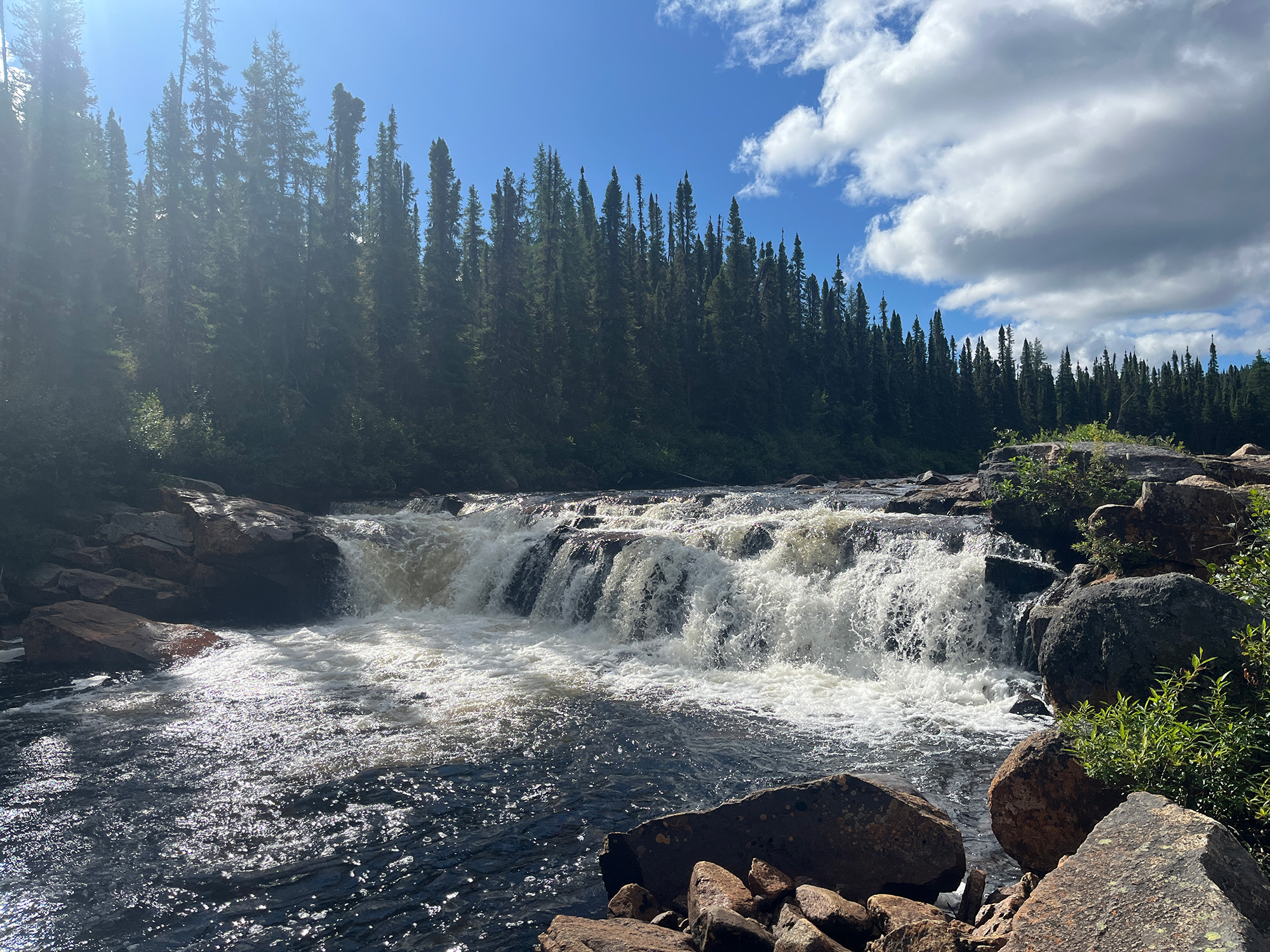 Cascade au milieu des arbres
