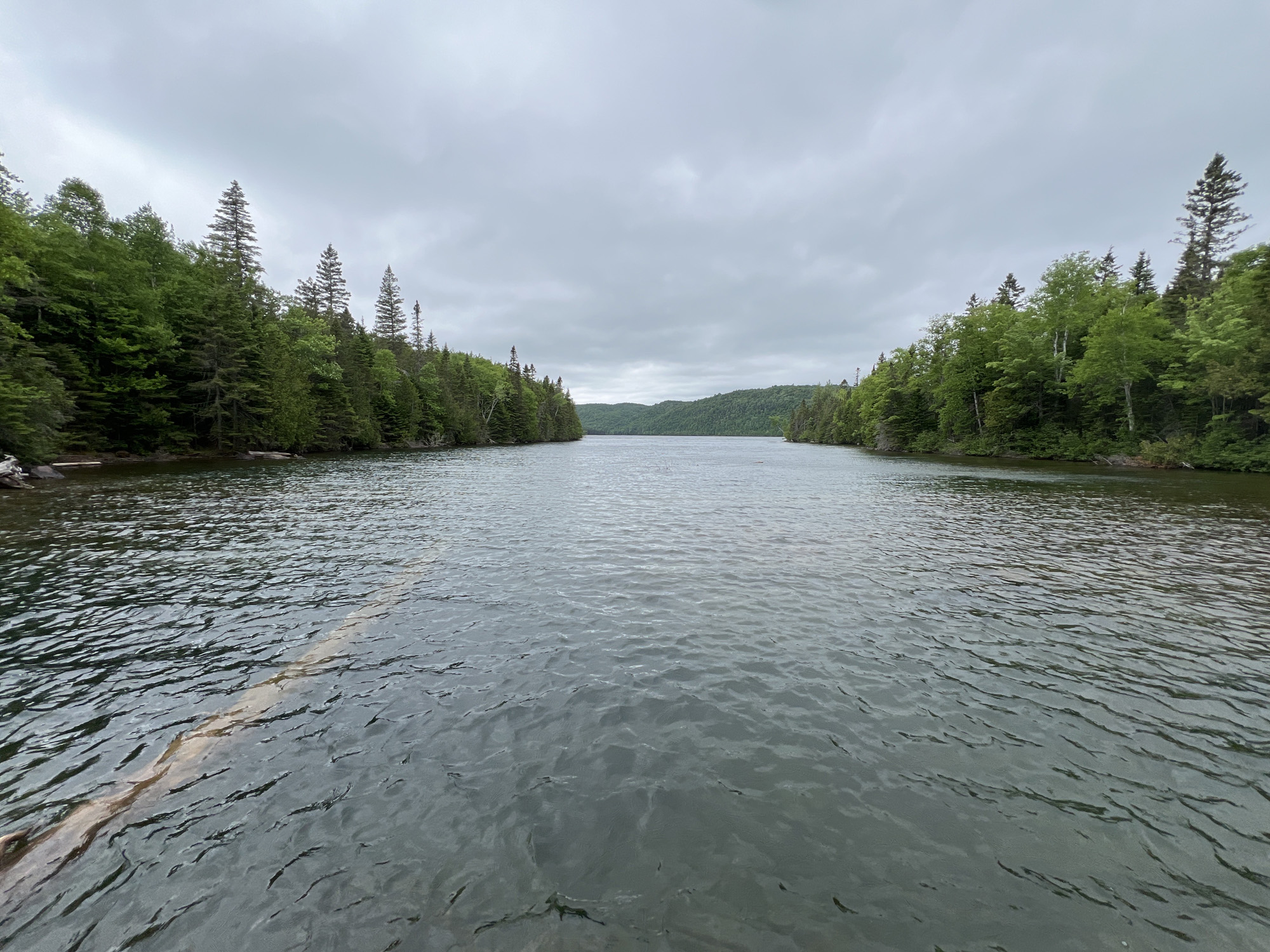 Lac entouré de forêts verdoyantes.