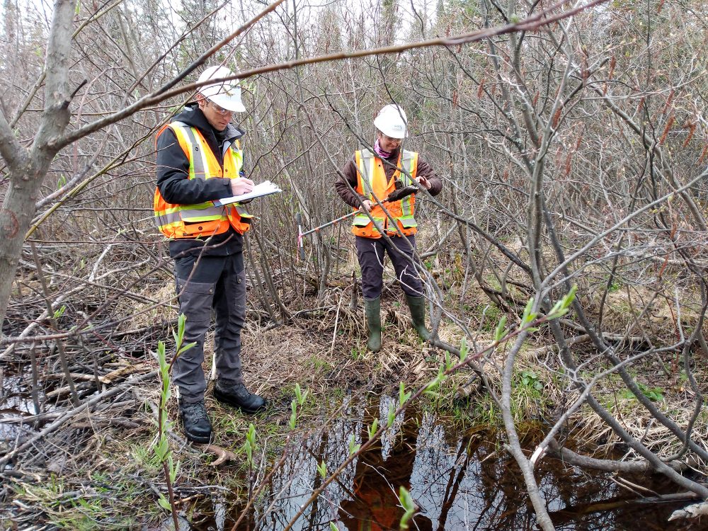 Deux personnes en forêt, prise de notes.