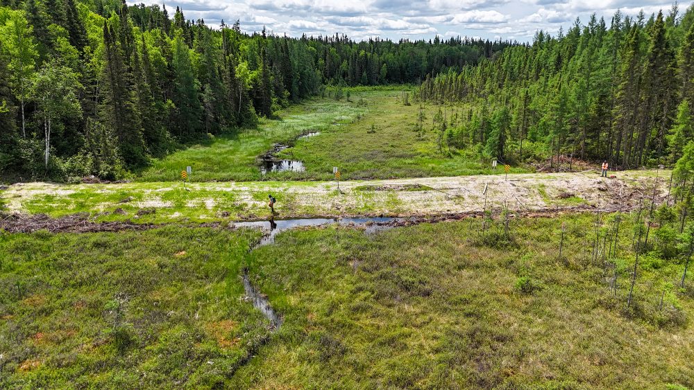 Paysage naturel avec ruisseau et forêt.
