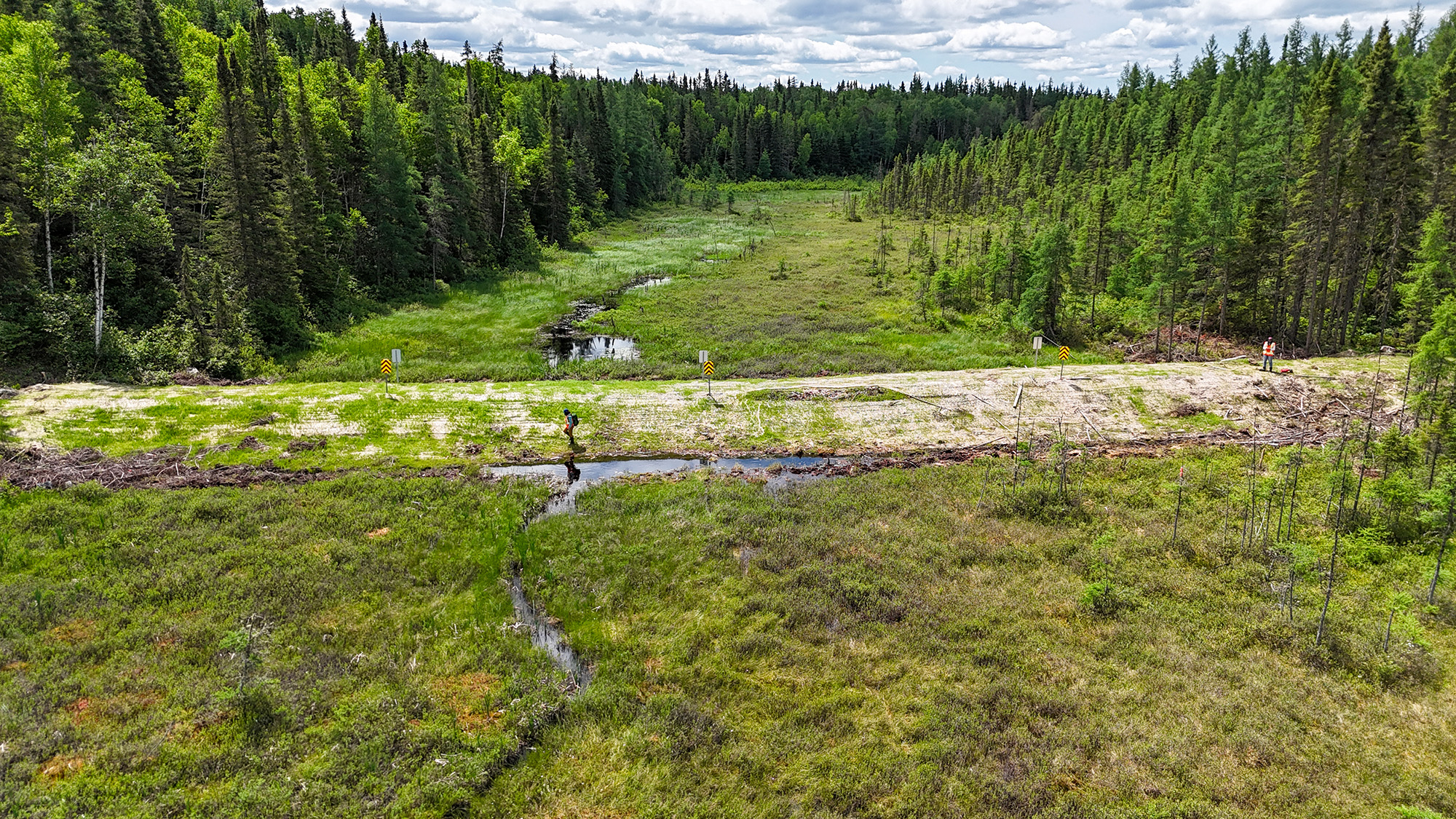 Paysage naturel avec ruisseau et forêt.