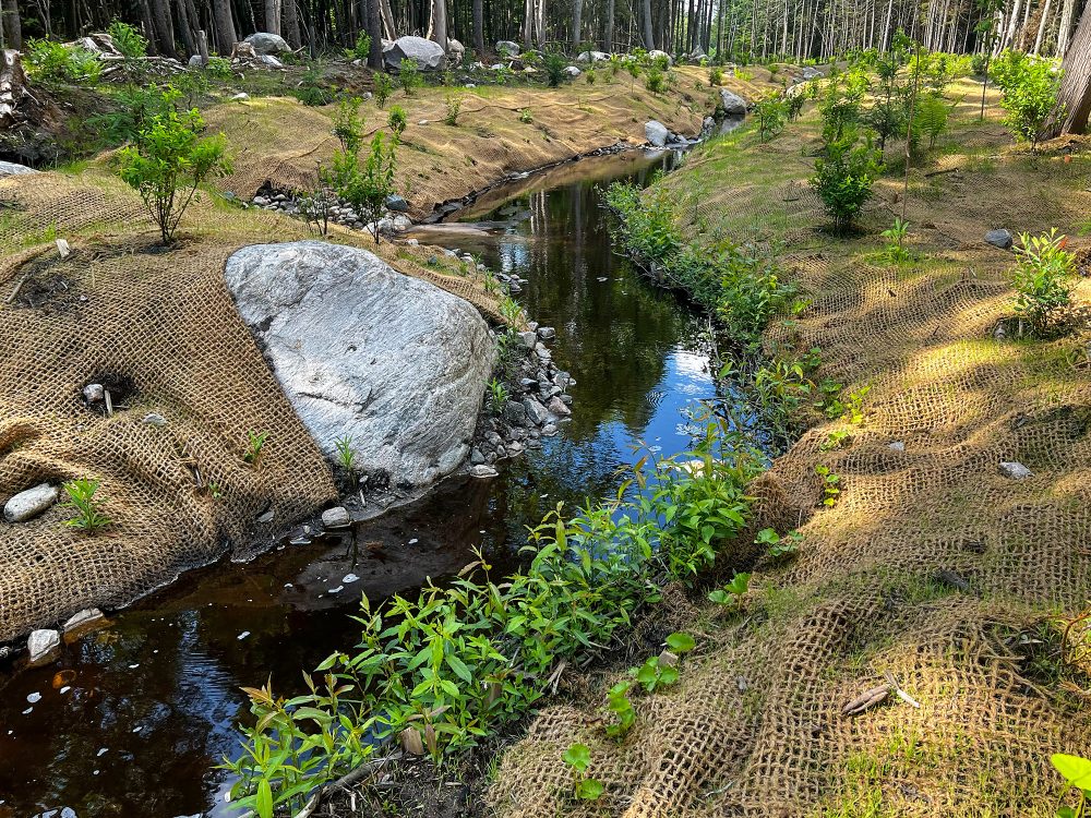 Ruisseau entouré de végétation et rochers