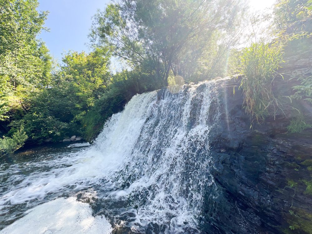Chute d'eau au milieu de la nature.