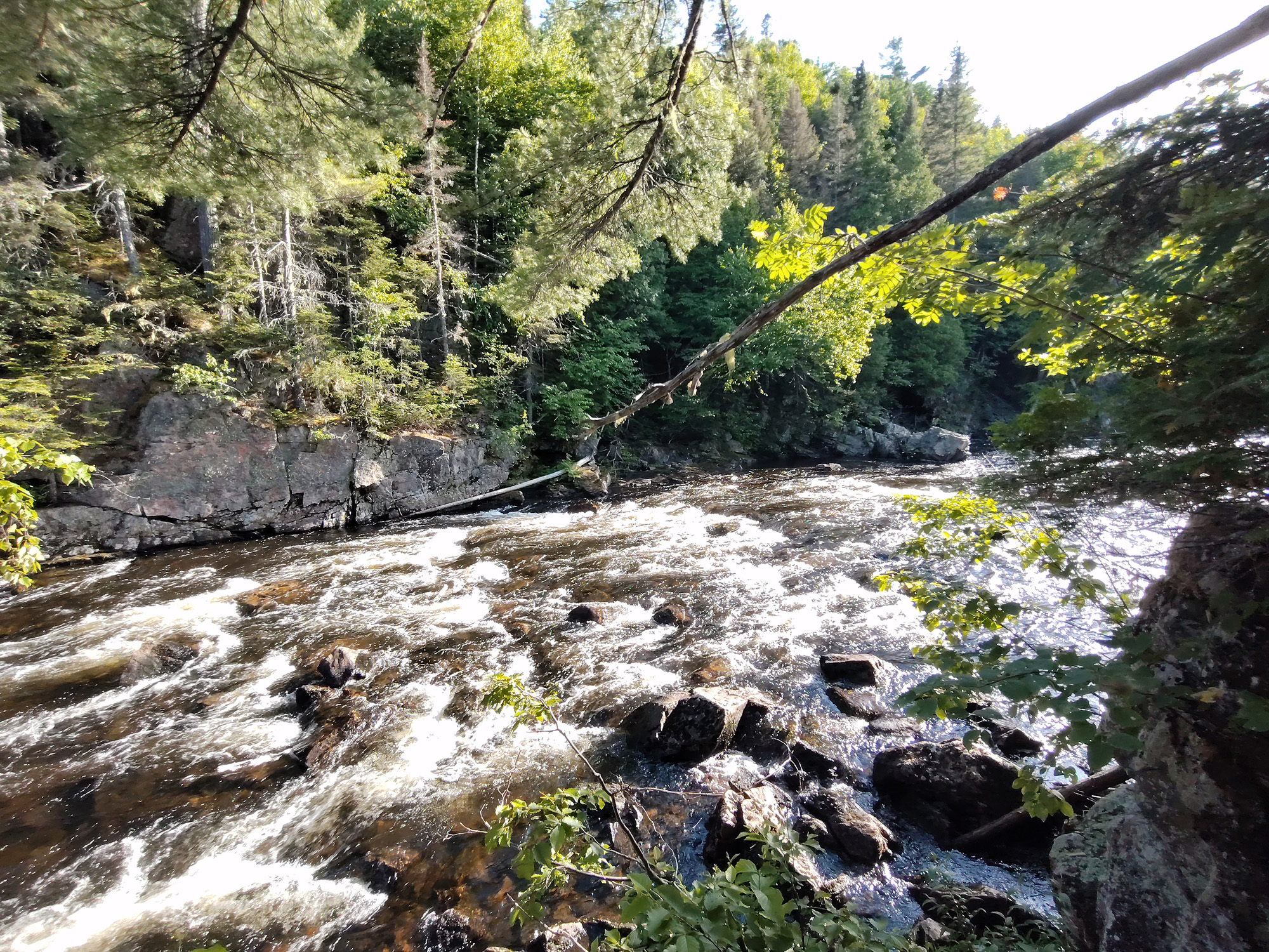 Rivière tumultueuse entourée d'arbres.