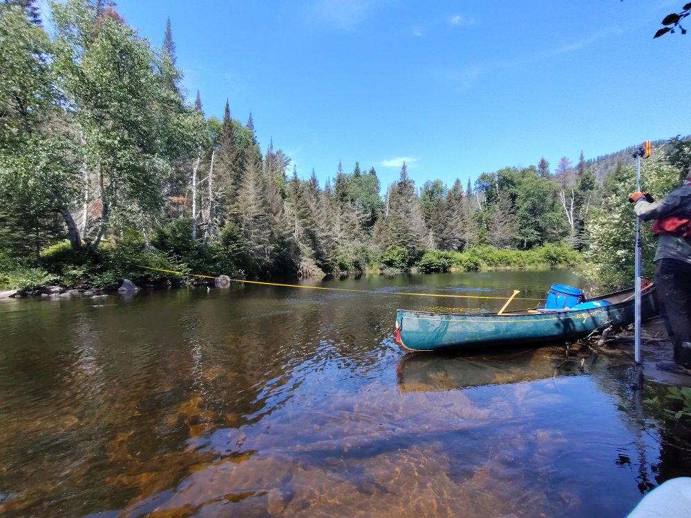 Canoë au bord d'une rivière calme.