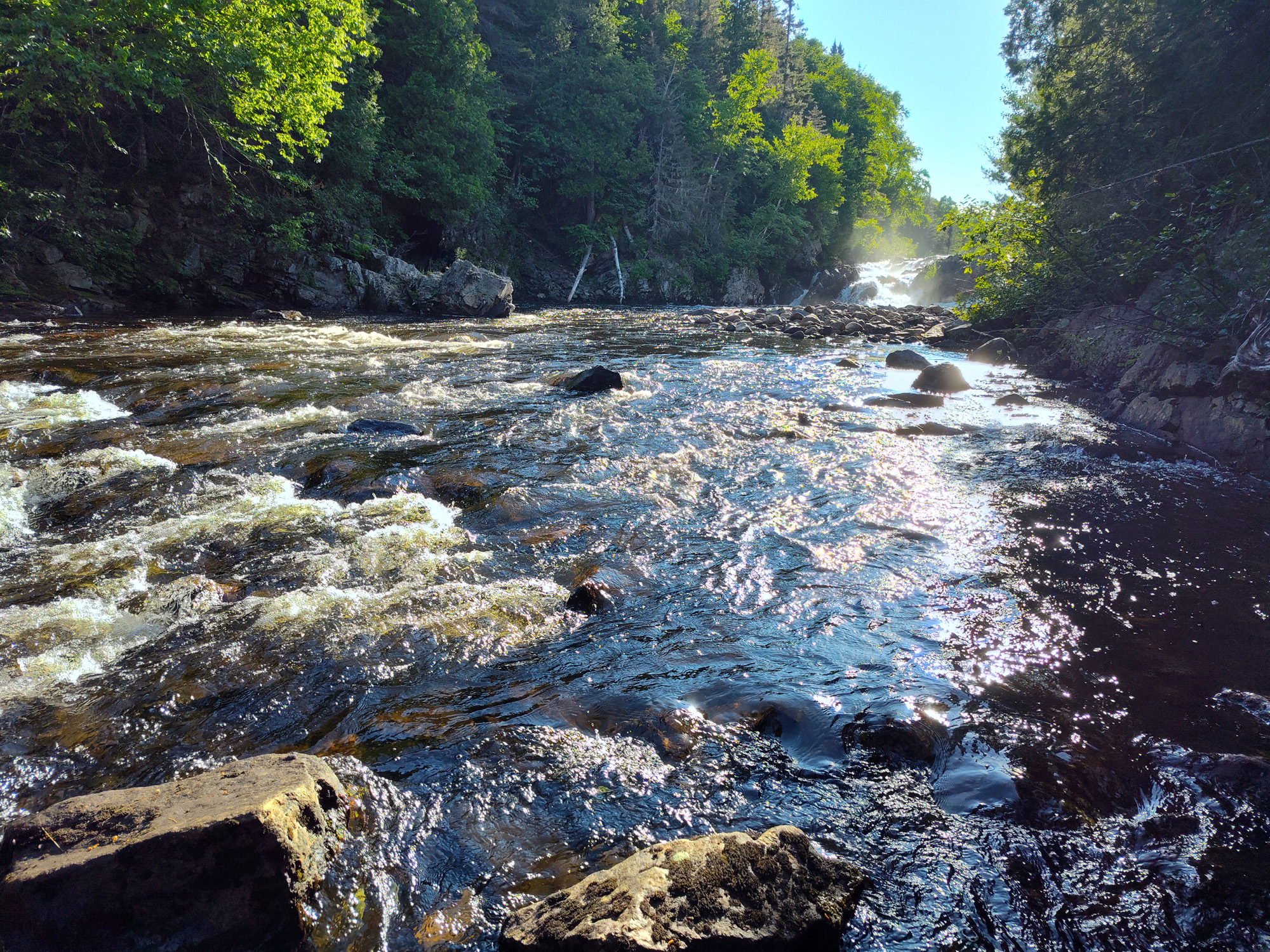 Rivière paisible entourée d'arbres.