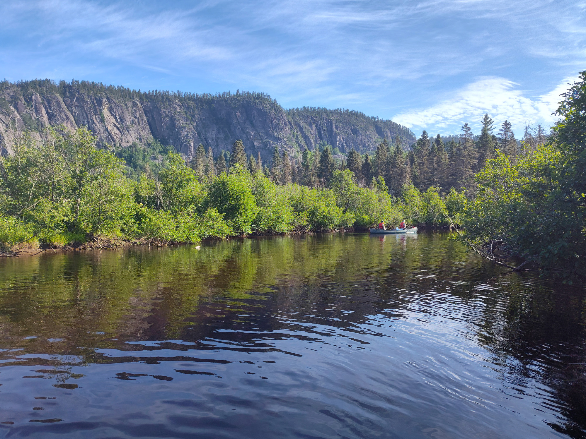 Rivière calme entourée de verdure