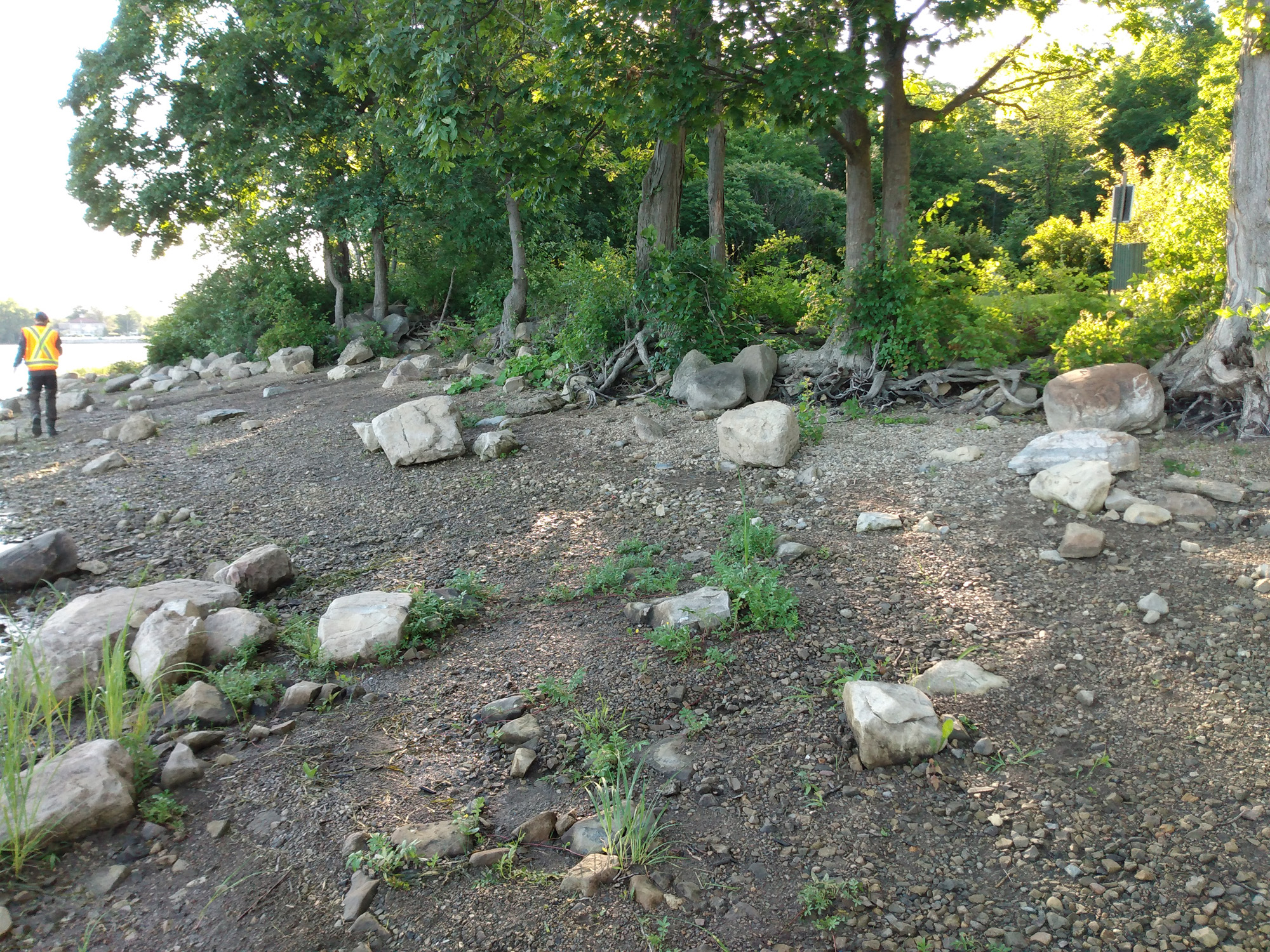 Programme-réhabilitation-berges-Cap-Saint-Jacques-Montréal-00001