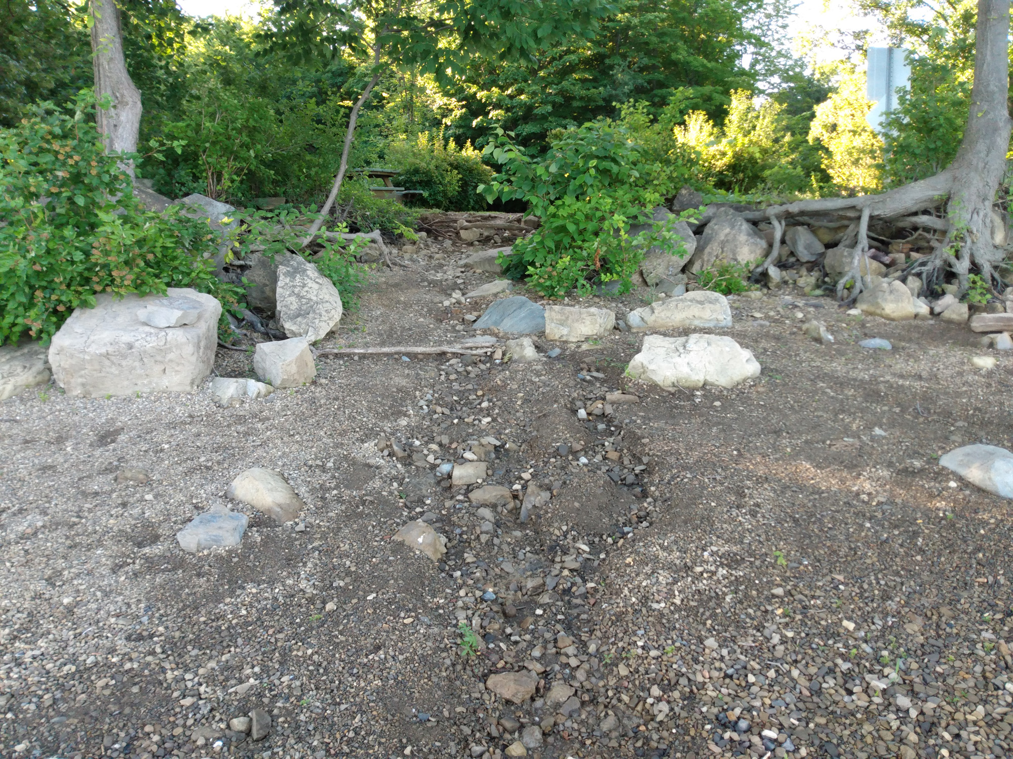 Programme-réhabilitation-berges-Cap-Saint-Jacques-Montréal-00002