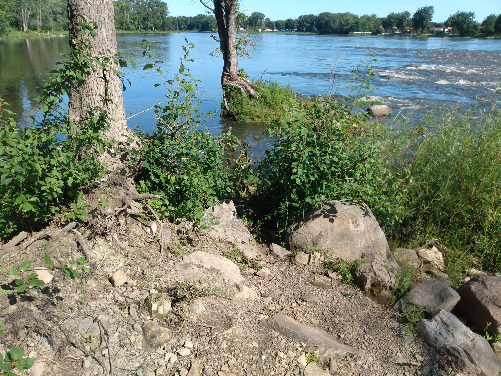 Programme-réhabilitation-berges-Cap-Saint-Jacques-Montréal-00005