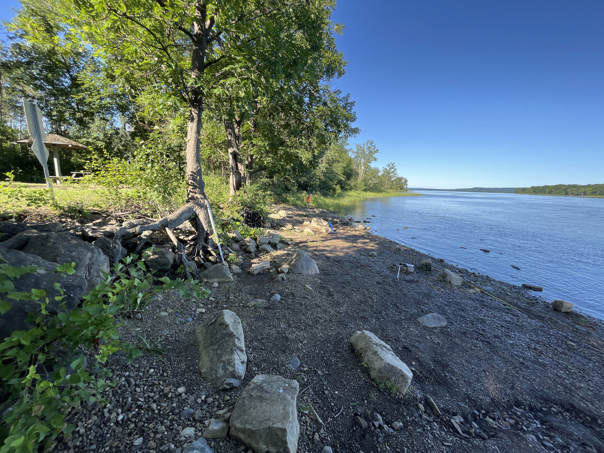 Programme-réhabilitation-berges-Cap-Saint-Jacques-Montréal-00008
