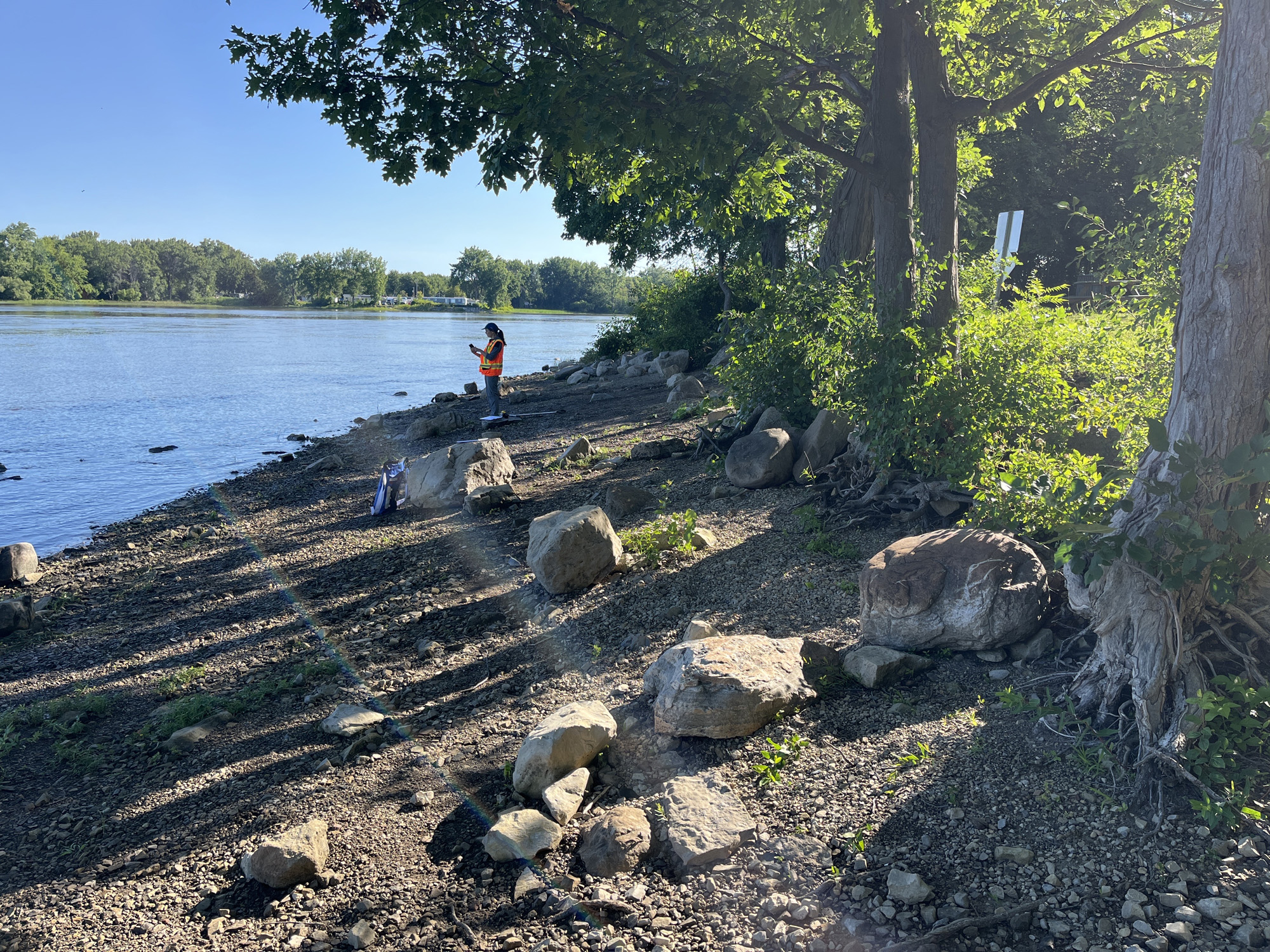 Programme-réhabilitation-berges-Cap-Saint-Jacques-Montréal-00009