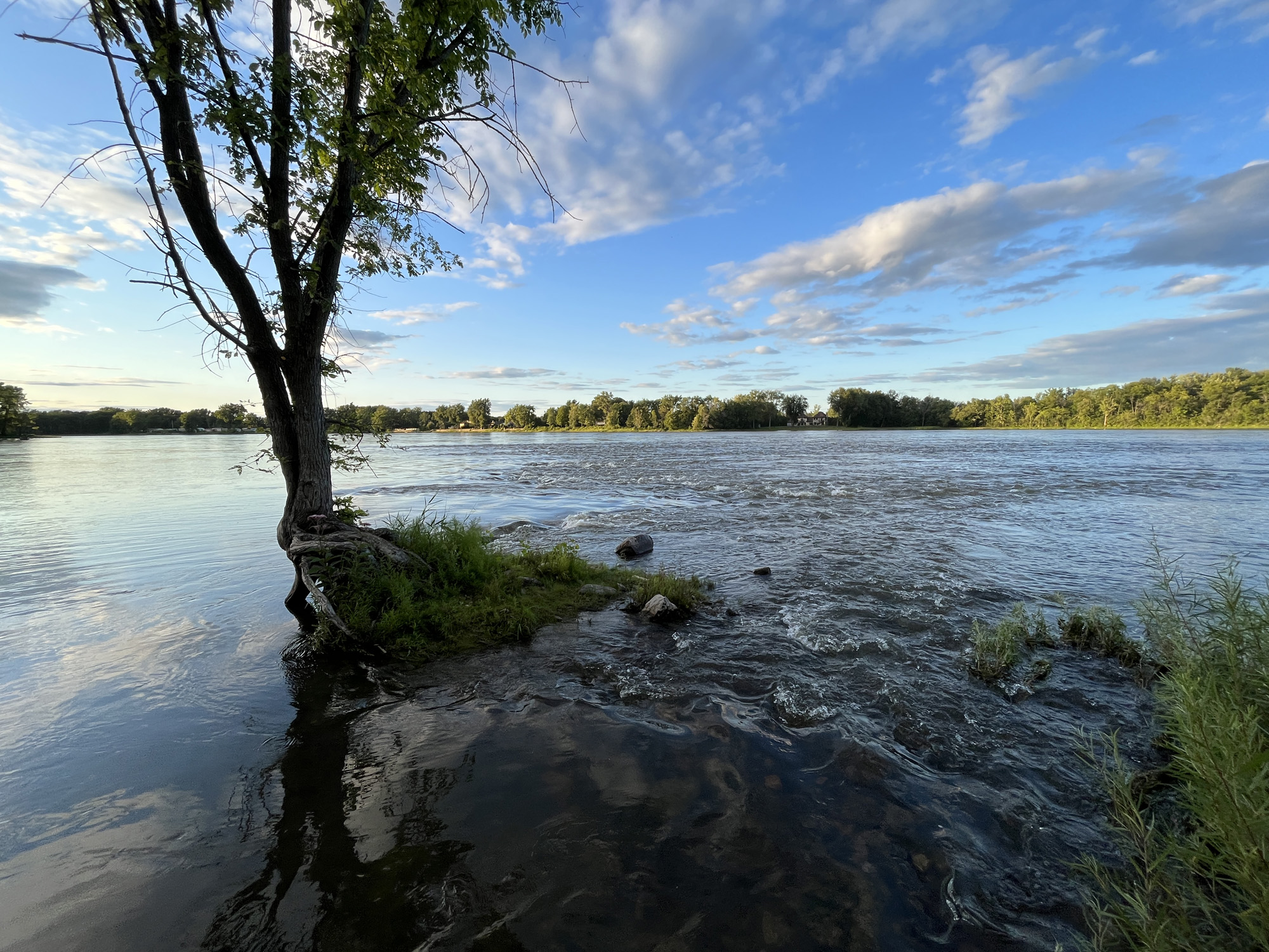 Programme-réhabilitation-berges-Cap-Saint-Jacques-Montréal-00010