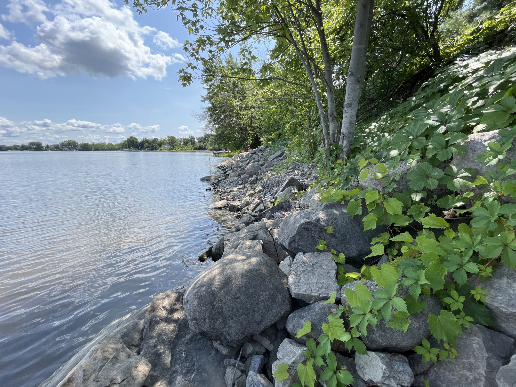Programme-réhabilitation-berges-Cap-Saint-Jacques-Montréal-00011