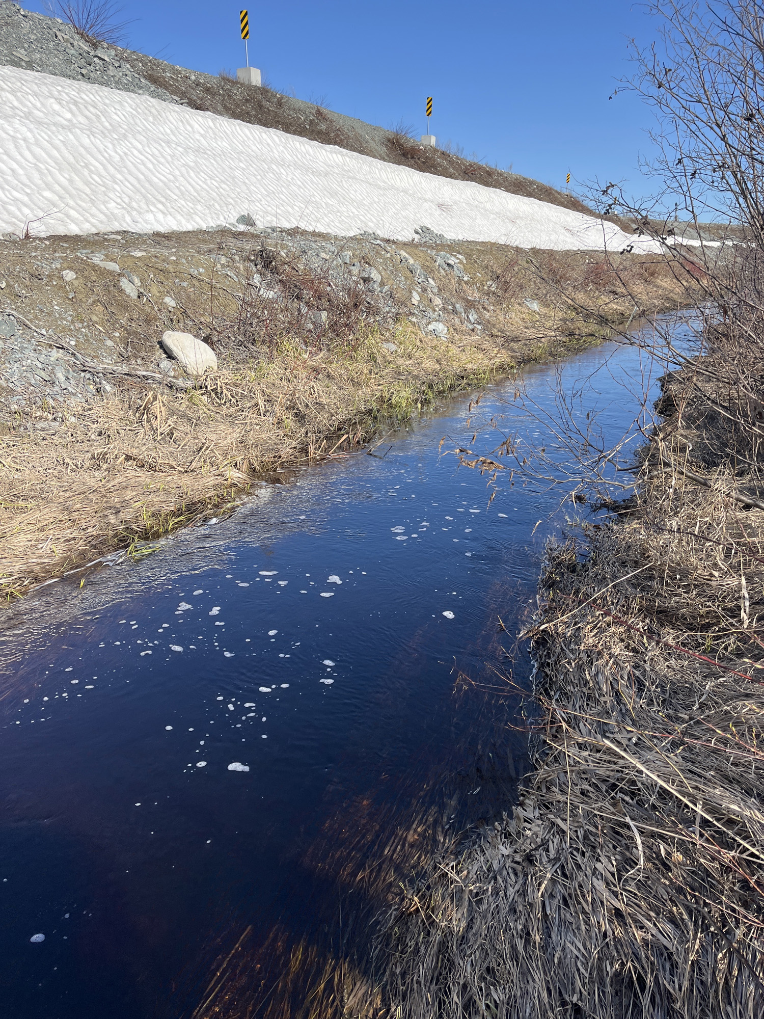 Ruisseau avec eau sombre et végétation