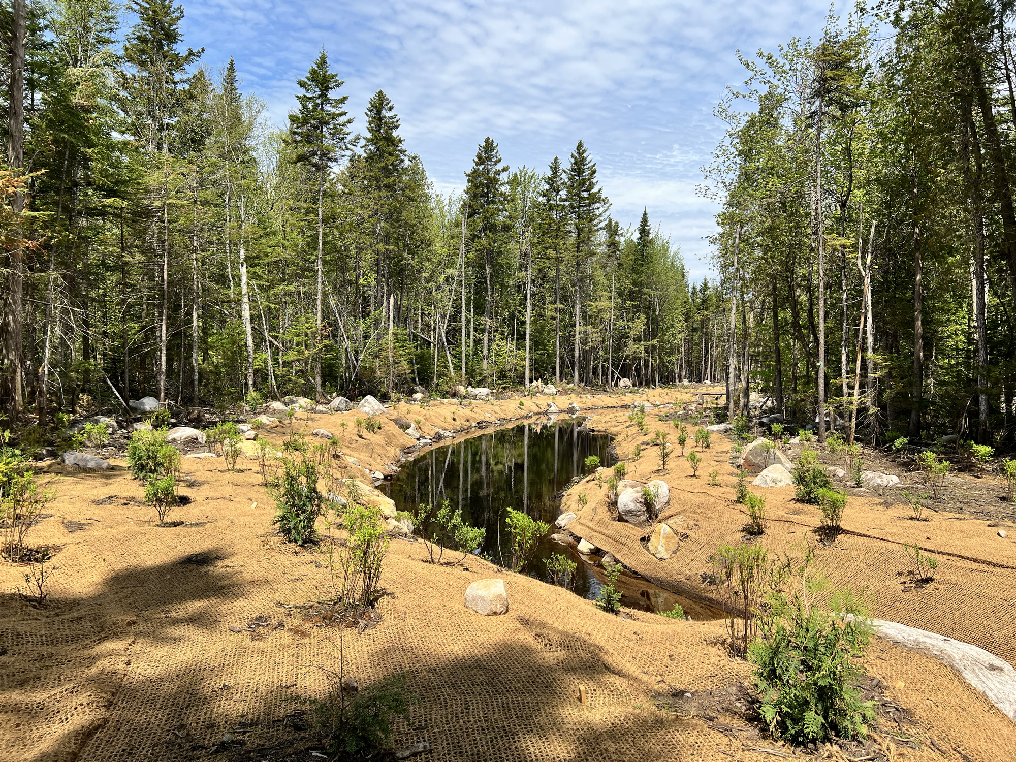 projet-Relocalisation-restauration-ruisseau-Etna-00018