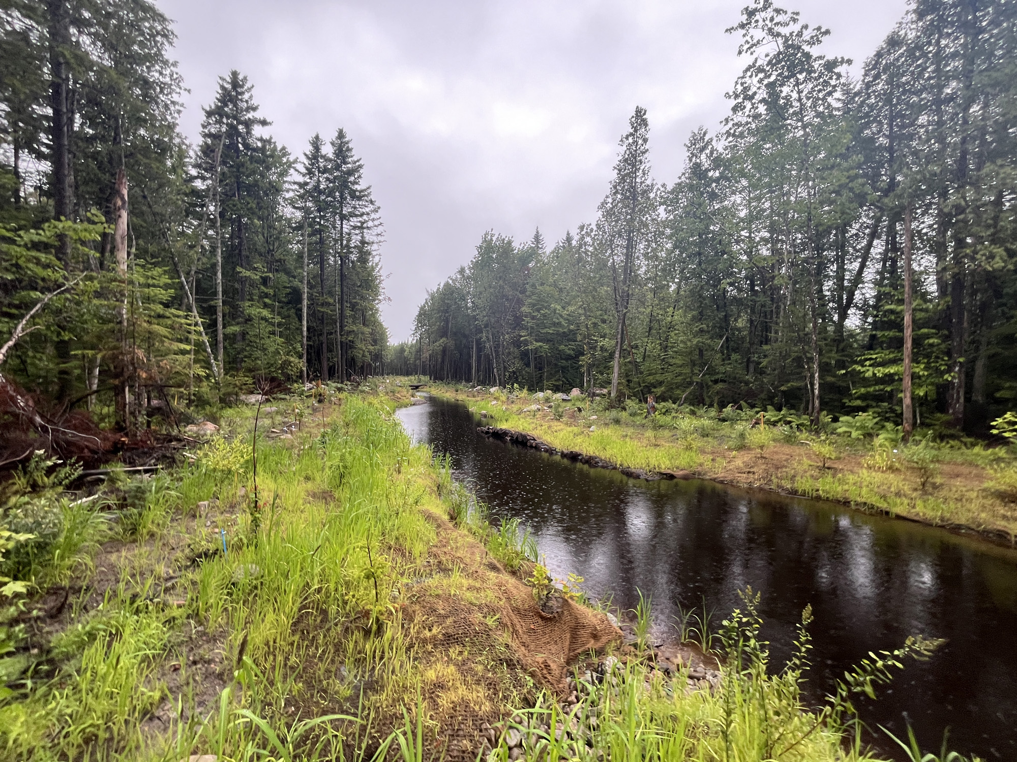 projet-Relocalisation-restauration-ruisseau-Etna-00020