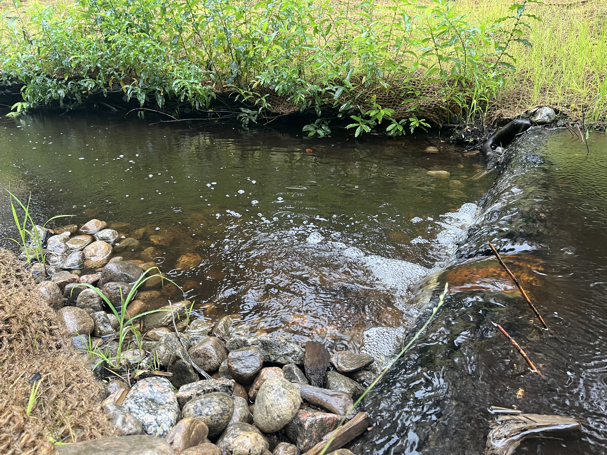 projet-Relocalisation-restauration-ruisseau-Etna-00024