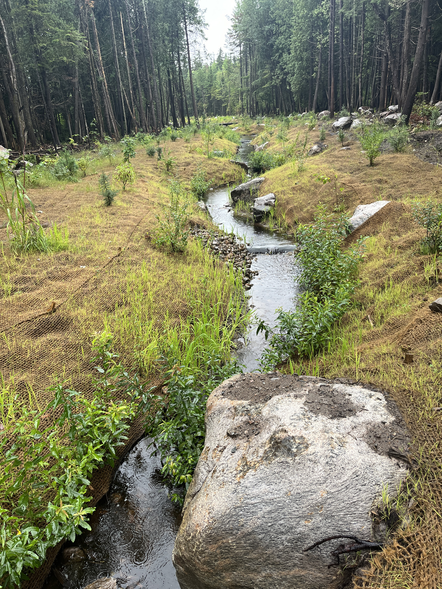 projet-Relocalisation-restauration-ruisseau-Etna-00026