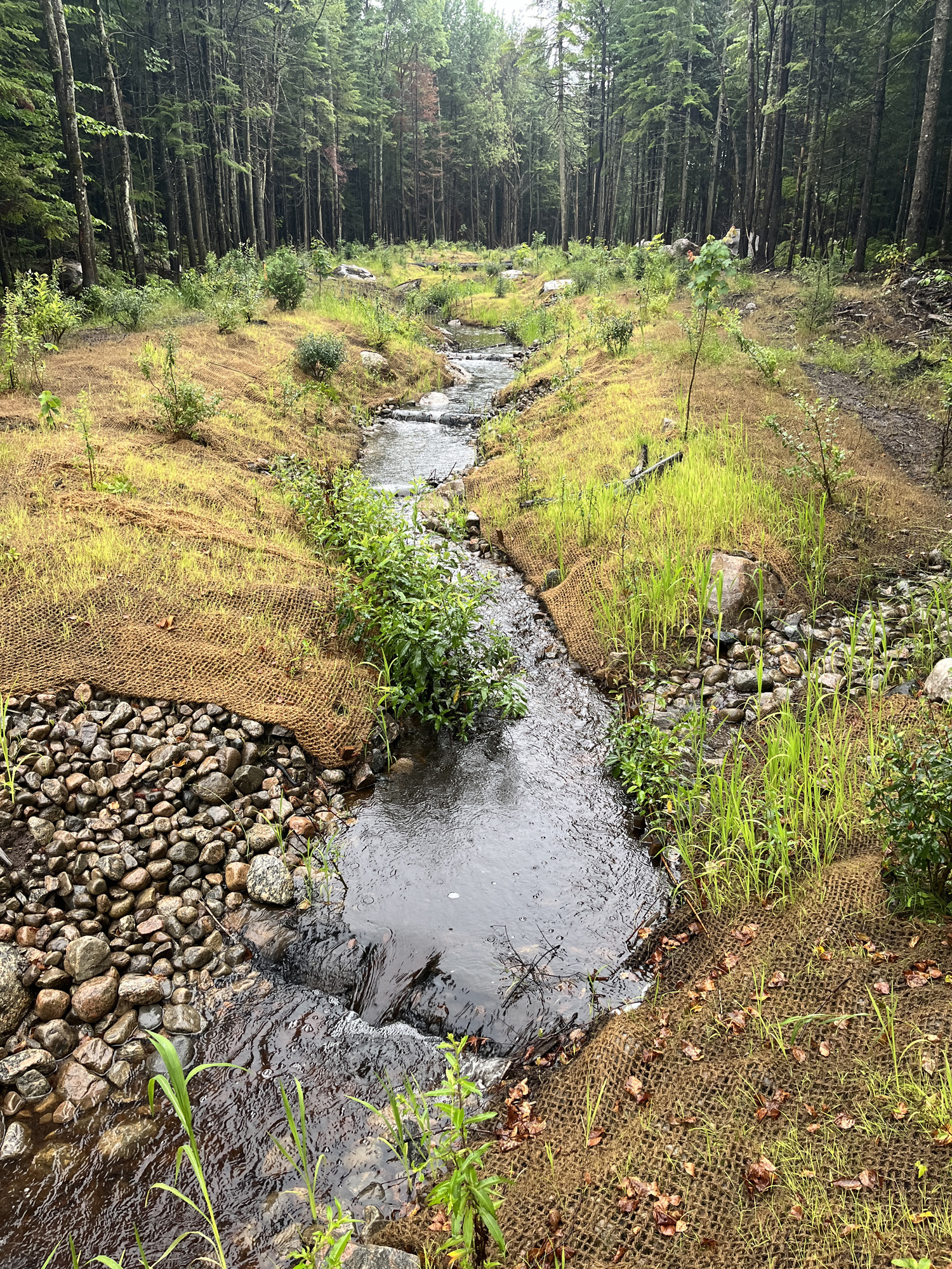 projet-Relocalisation-restauration-ruisseau-Etna-00027