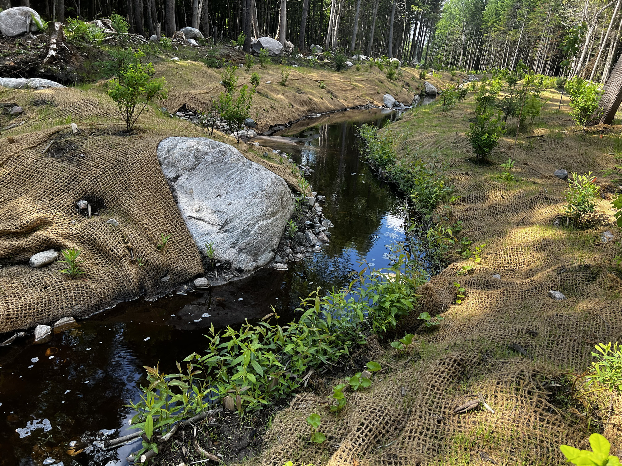 projet-Relocalisation-restauration-ruisseau-Etna-00028