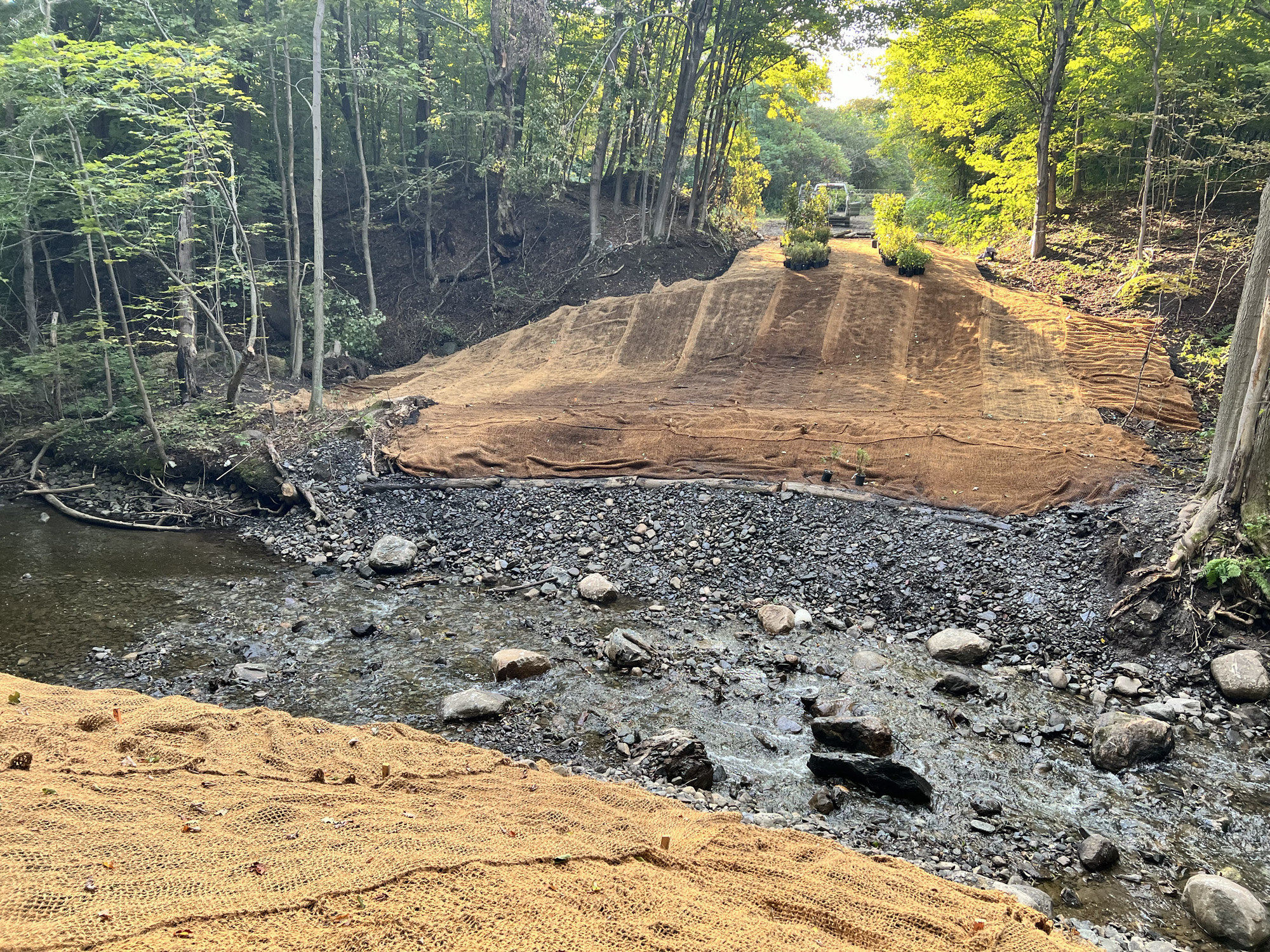 projet-Restauration-ruisseau-Lallemand-Lévis-005