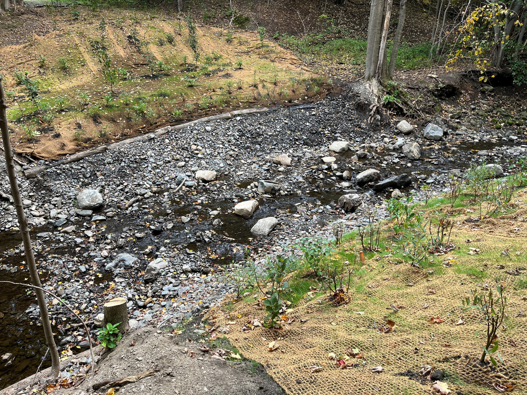 projet-Restauration-ruisseau-Lallemand-Lévis-011