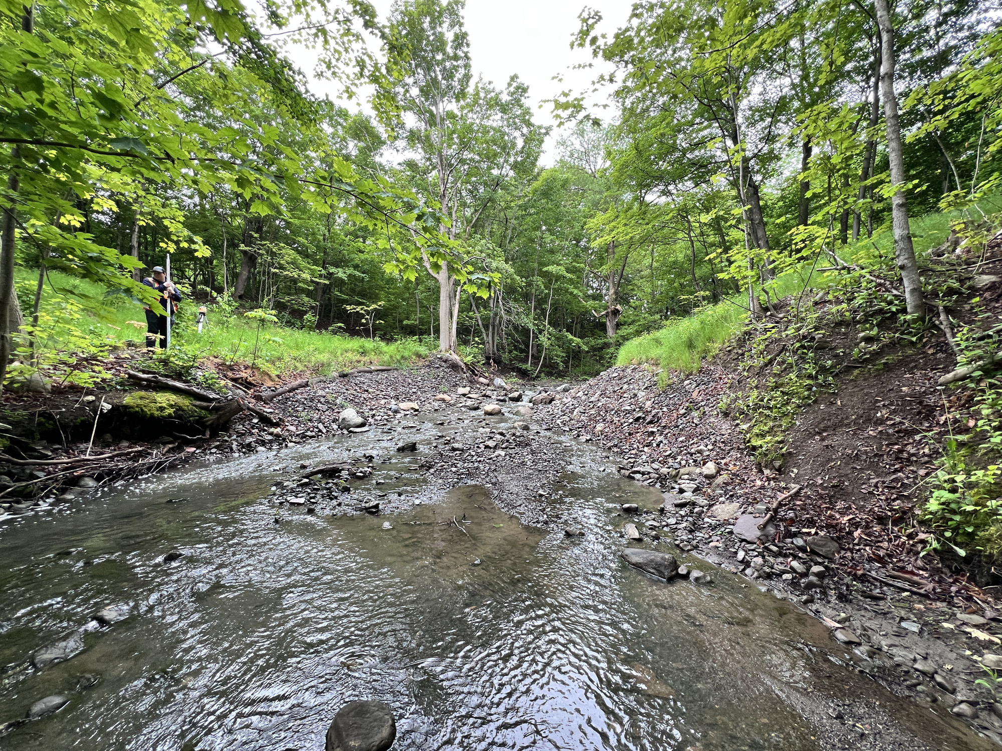 projet-Restauration-ruisseau-Lallemand-Lévis-014