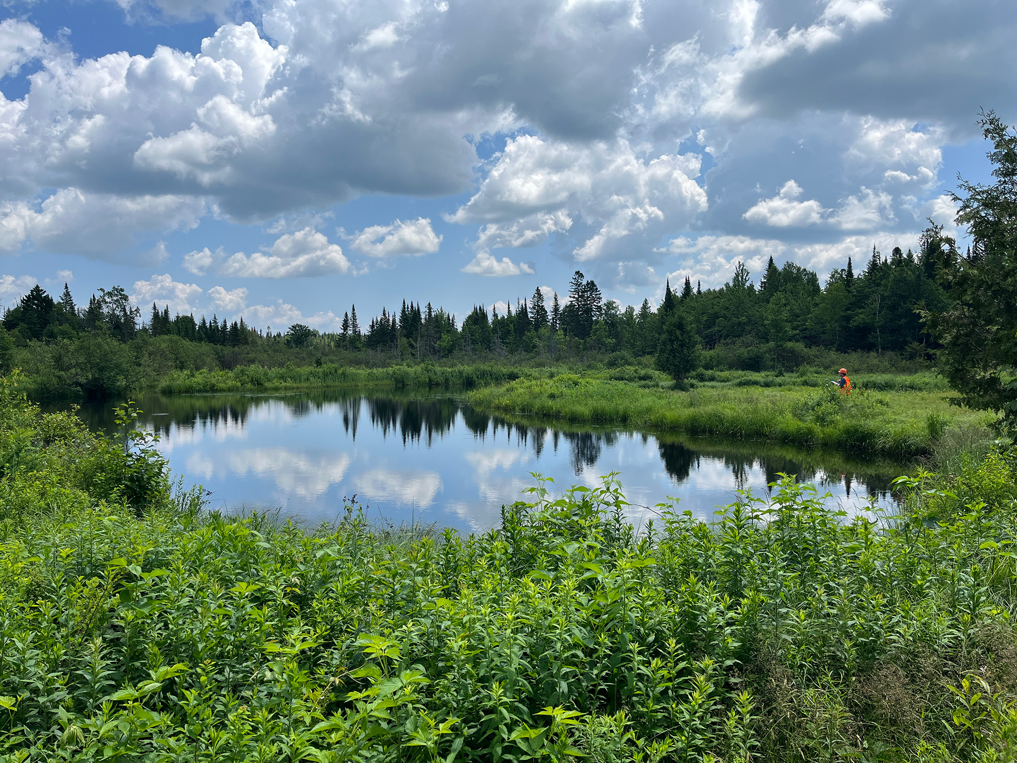 Lac paisible entouré de verdure.